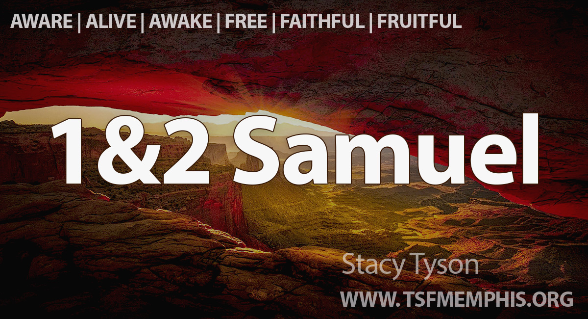 2025-TSF-swt-samuel