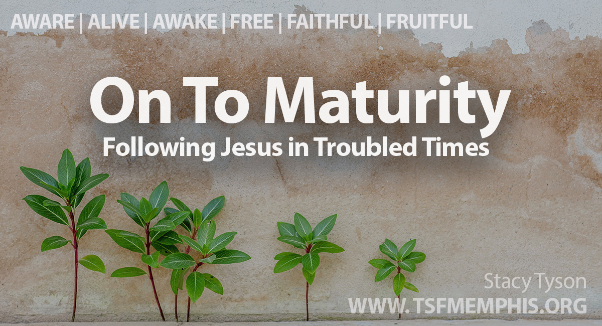 2026-TSF-Maturity-RECT