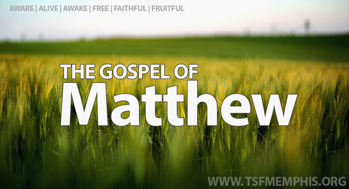 2026-TSF-swt-Matthew-LND
