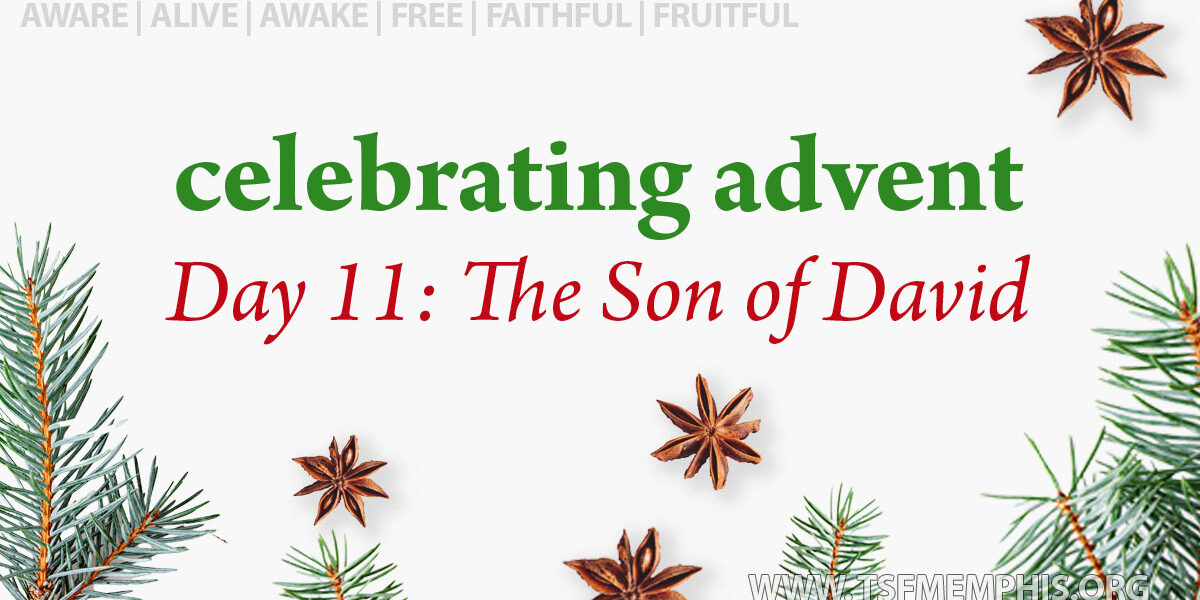 2023-TSF-advent-d11-david