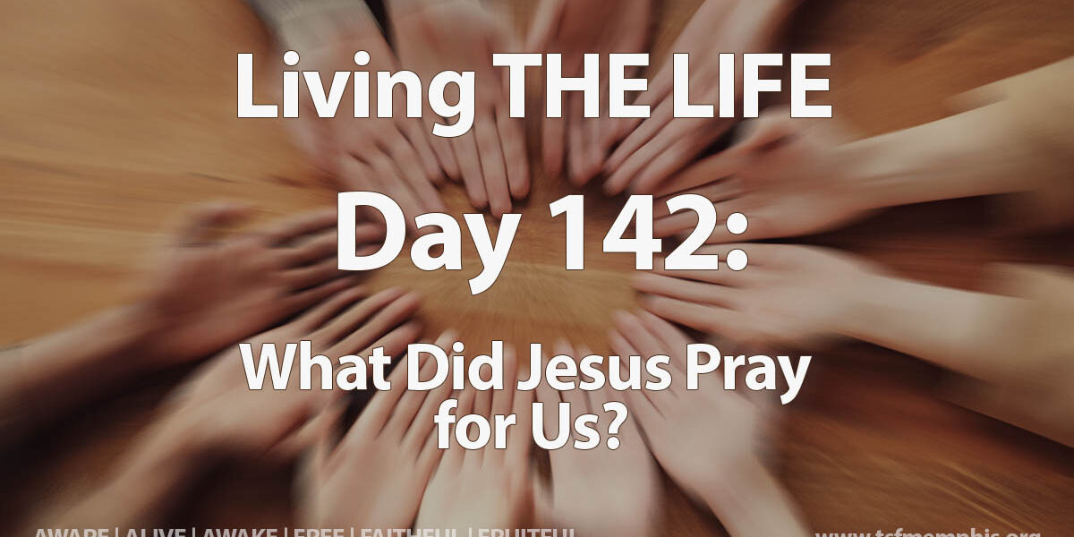2024-TSF-MTM-Day_142