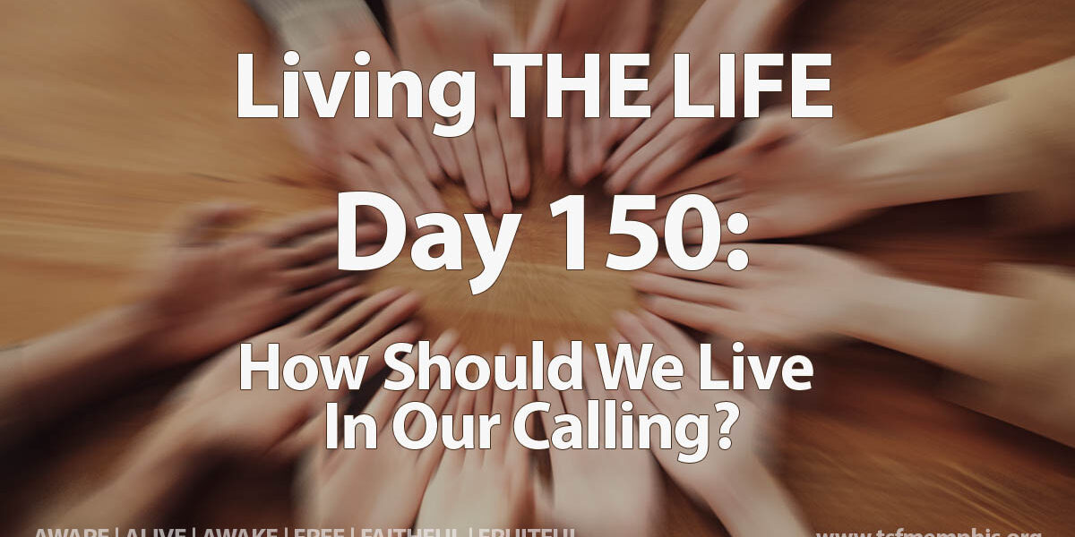 2024-TSF-MTM-Day_150