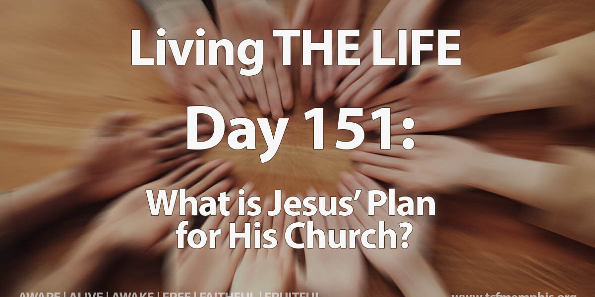2024-TSF-MTM-Day_151