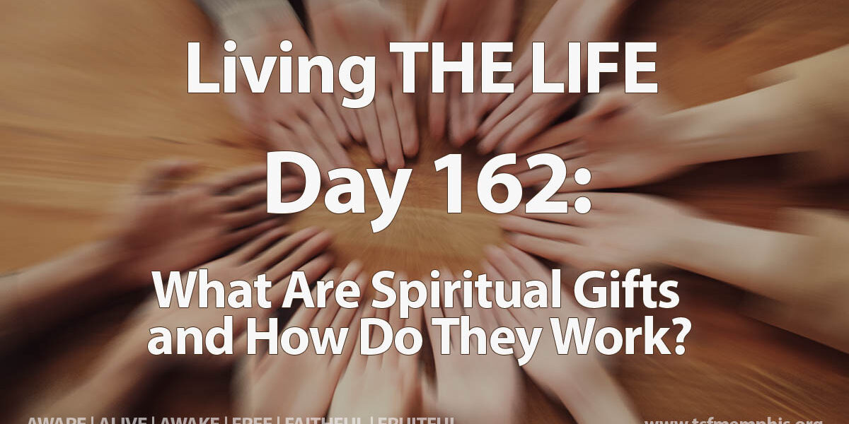 2024-TSF-MTM-Day_162